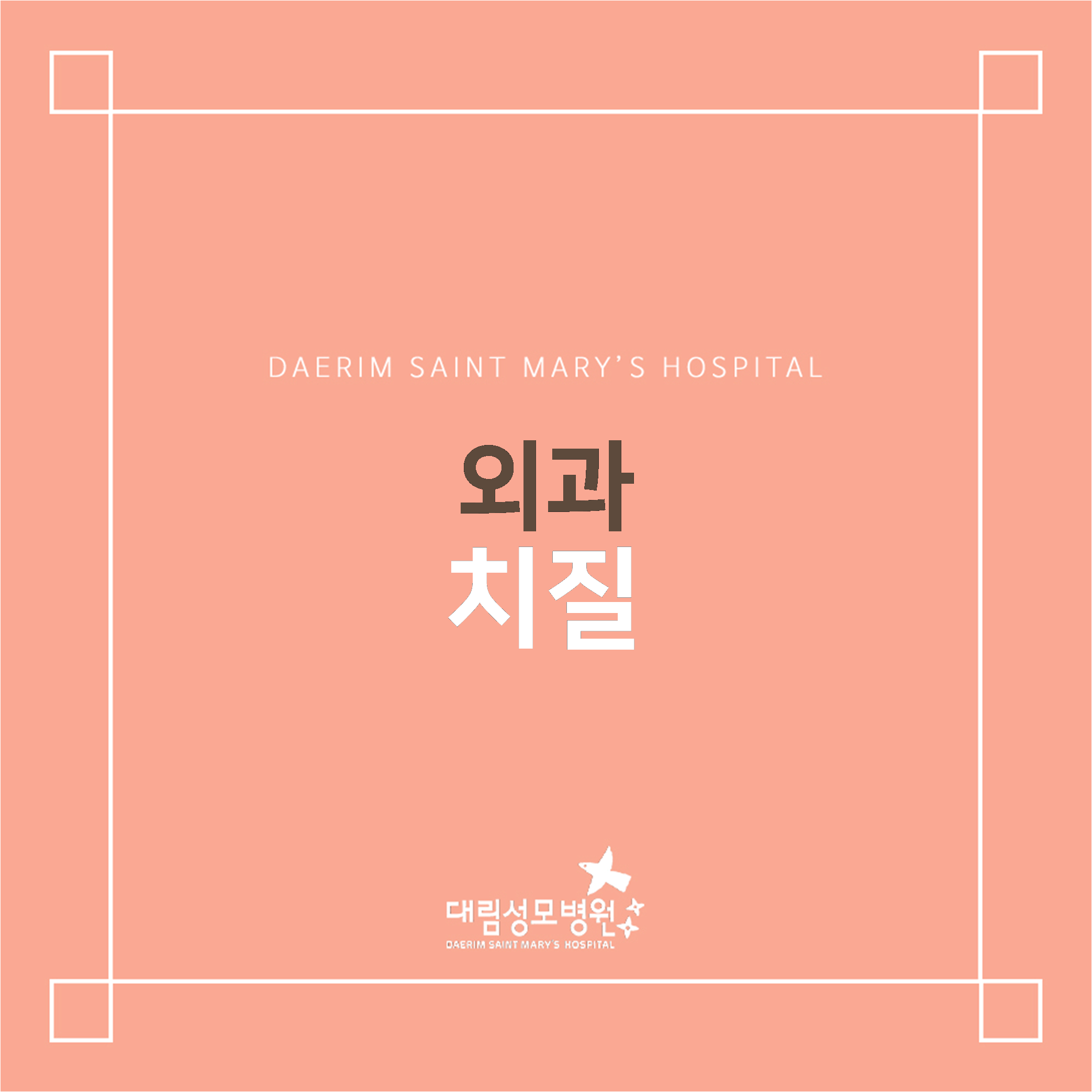 [외과] 치질  