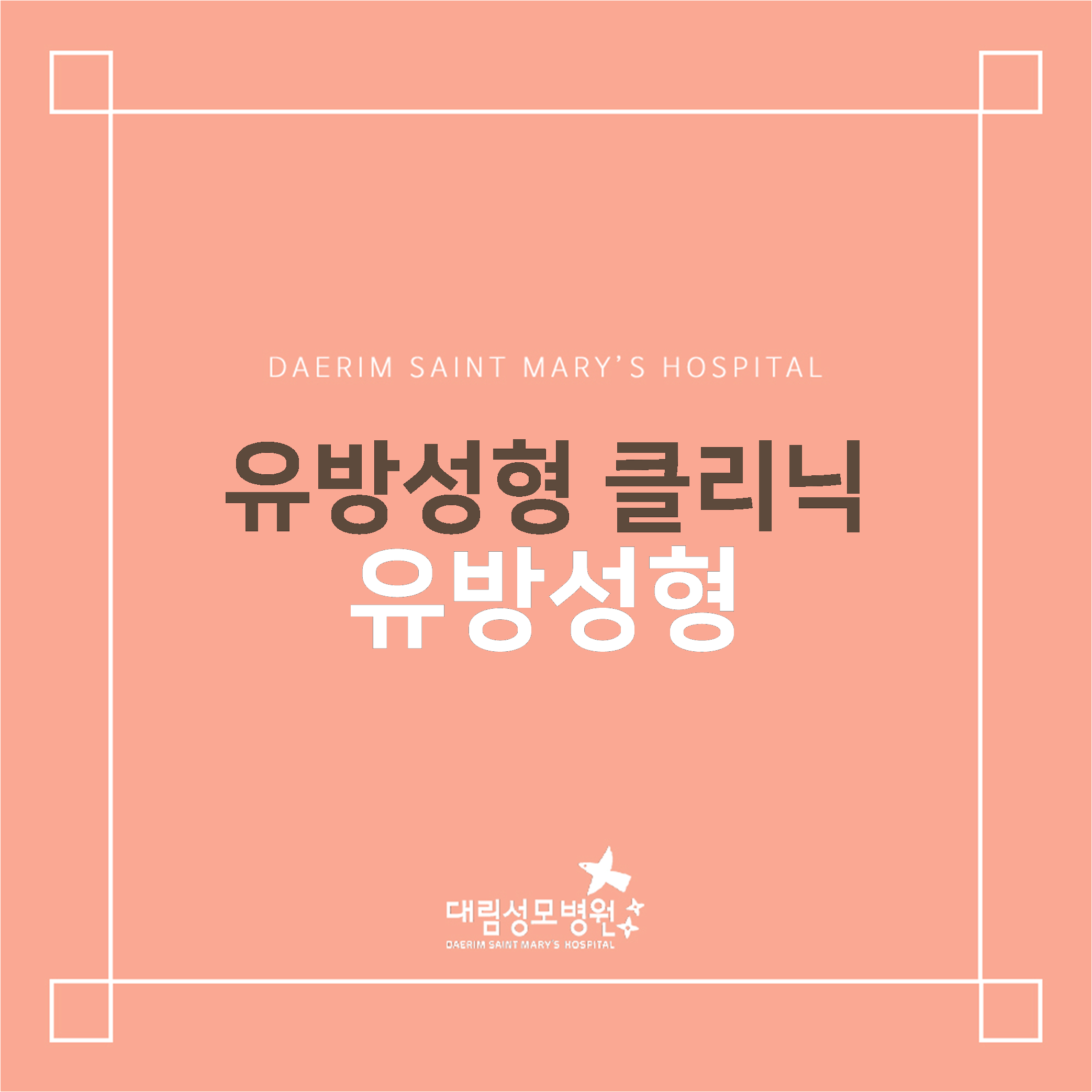 [성형외과] 유방성형술  