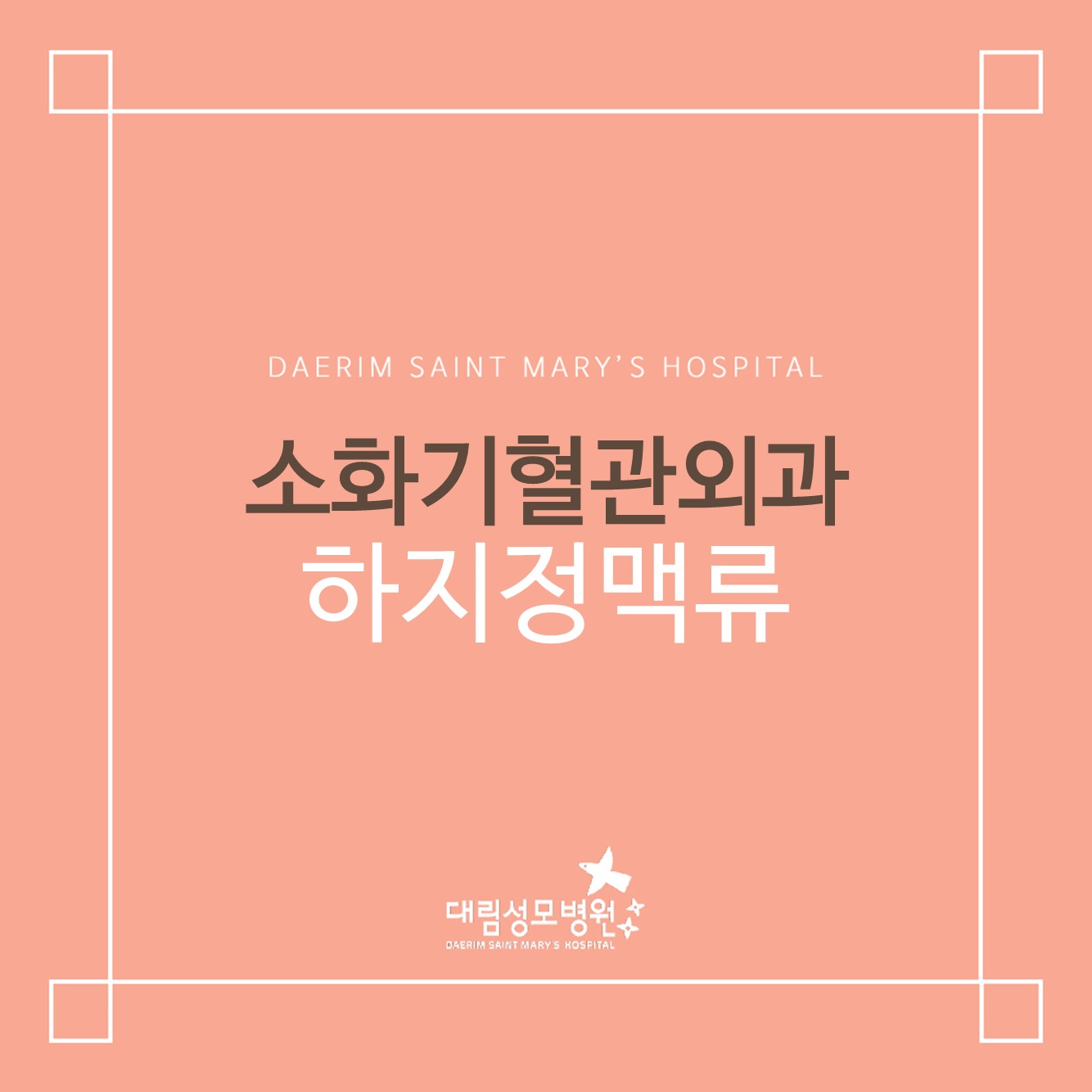 [소화기혈관외과] 하지정맥류 클리닉  