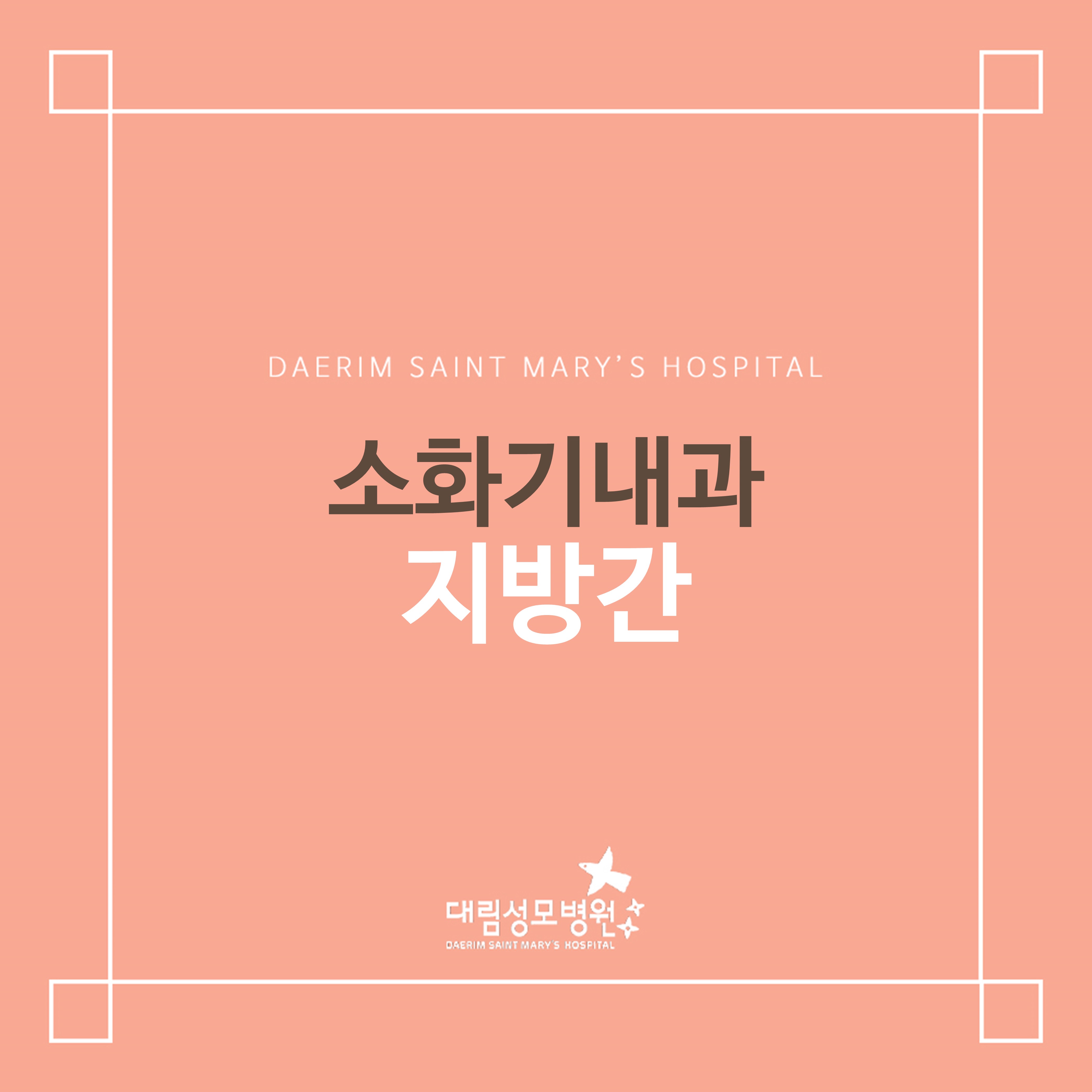 [소화기내과] 지방간  