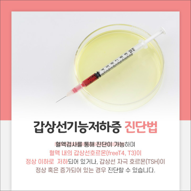 [갑상선센터] 갑상선기능저하증 05.jpg