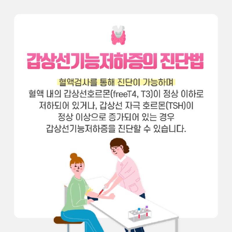 230502_갑상선기능저하증_05.jpg